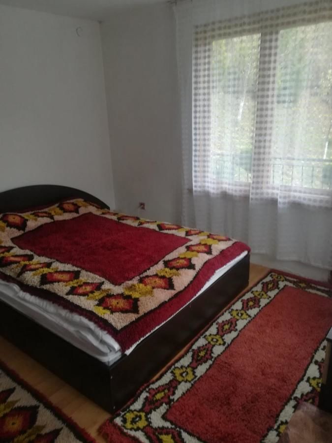 Гостевой дом Guesthouse Arnika Trŭn-34